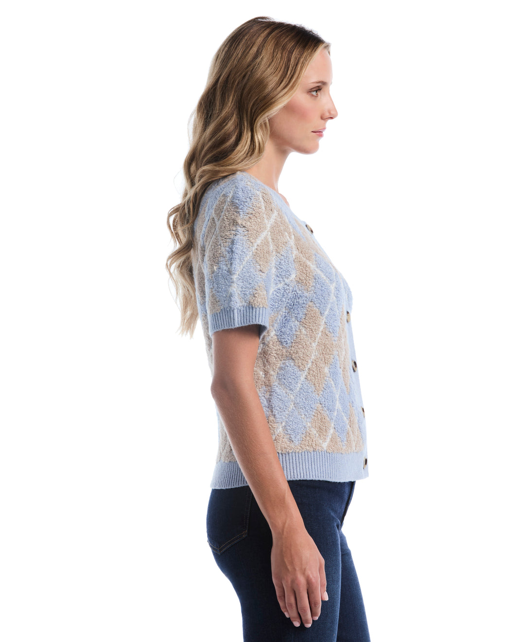Argyle Cardigan Sweater (Blue Blizzard) 